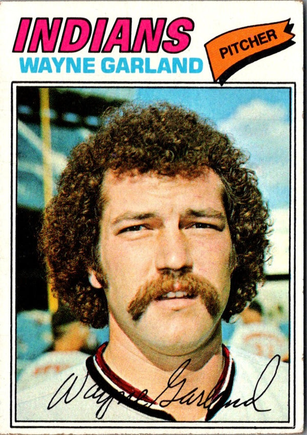 1977 Topps Wayne Garland #33