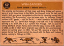 1960 Topps Turk Lown/Gerry Staley