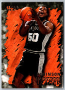 1996 Fleer European David Robinson