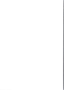 2009 Panini Decals Deron Williams