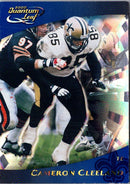 2000 Quantum Leaf Cameron Cleeland