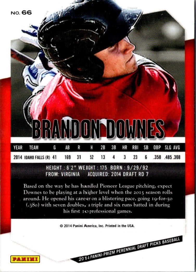 2014 Panini Prizm Perennial Draft Picks Brandon Downes