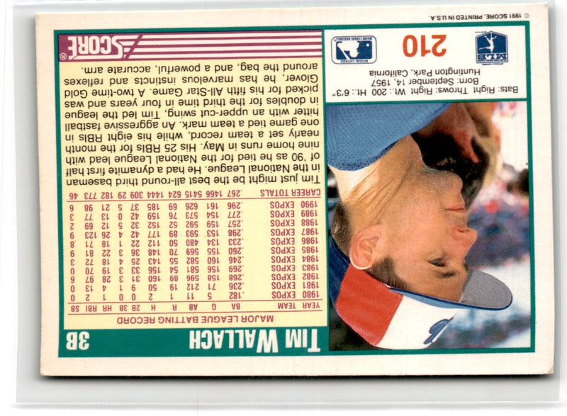1991 Score Tim Wallach