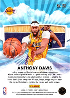 2022 Hoops Skyview Anthony Davis #23