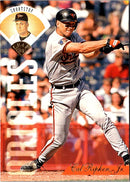 1995 Leaf Cal Ripken Jr.