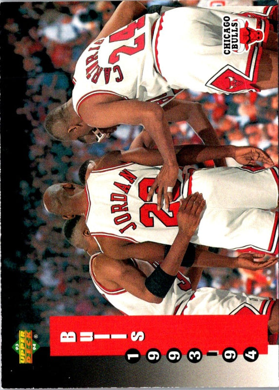 1993 Upper Deck Chicago Bulls #213