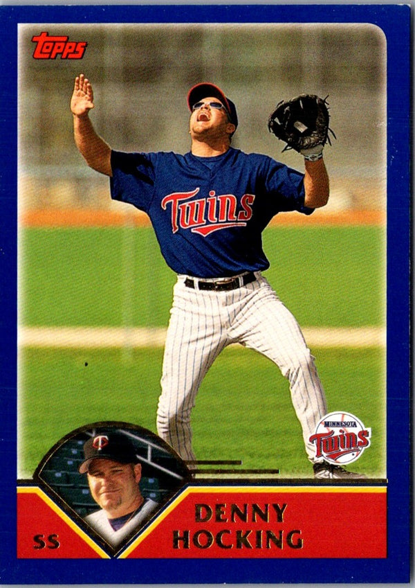 2003 Topps Home Team Advantage Denny Hocking #238