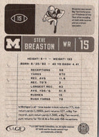 2007 SAGE HIT Steve Breaston #15