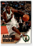 1996 Hoops Antoine Walker