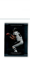 2010 Topps Platinum Anquan Boldin