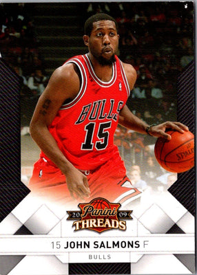 2009 Panini Threads John Salmons #55
