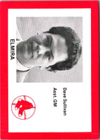 1987 Cain Elmira Pioneers Red Dave Sullivan #3
