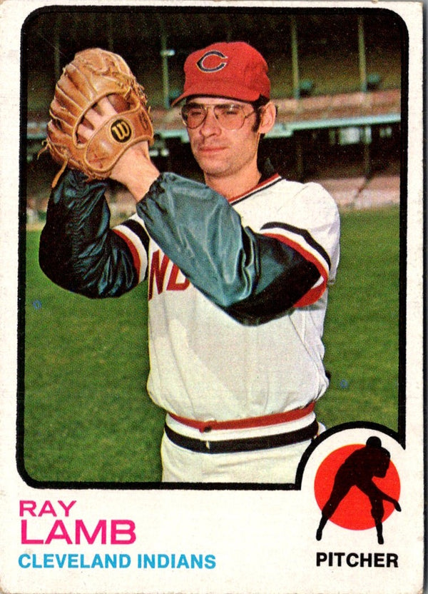 1973 O-Pee-Chee Ray Lamb #496