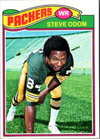 1977 Topps Steve Odom #509