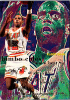 1995 Fleer David Wesley #12