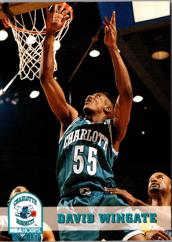 1993 Hoops David Wingate #310
