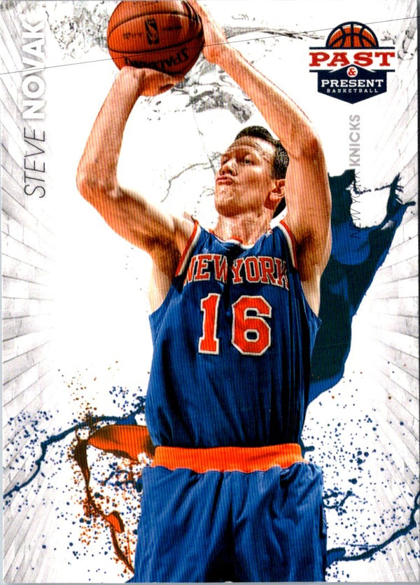 2013 Panini Steve Nash #10