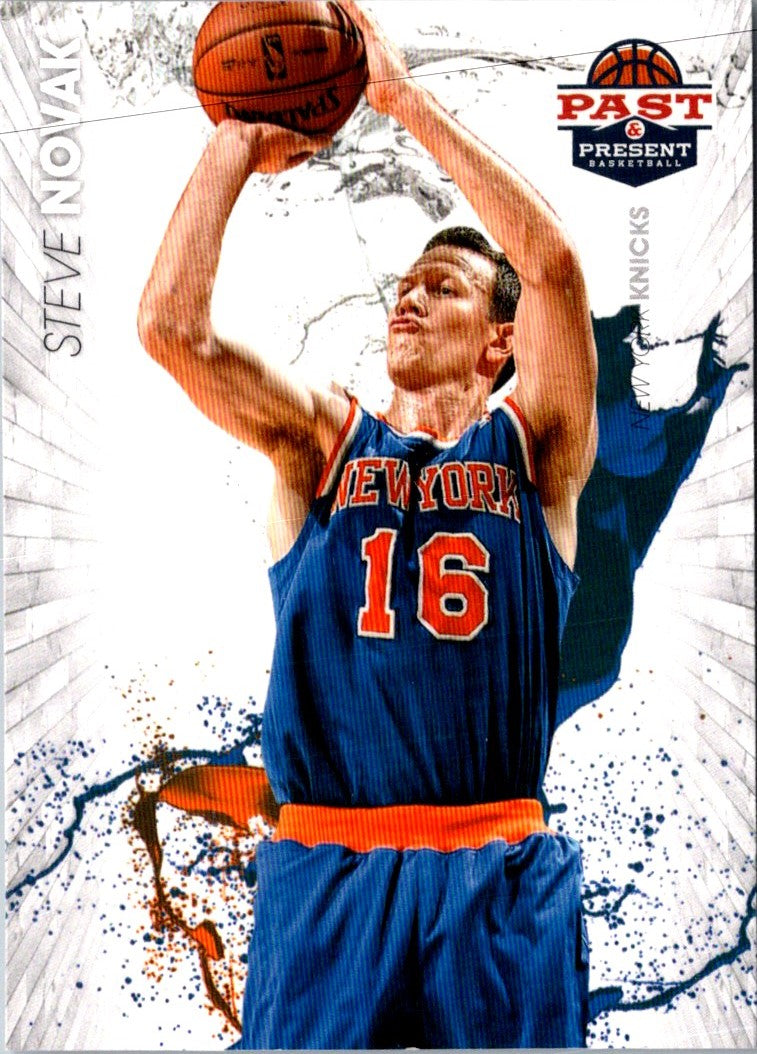 2013 Panini Steve Nash