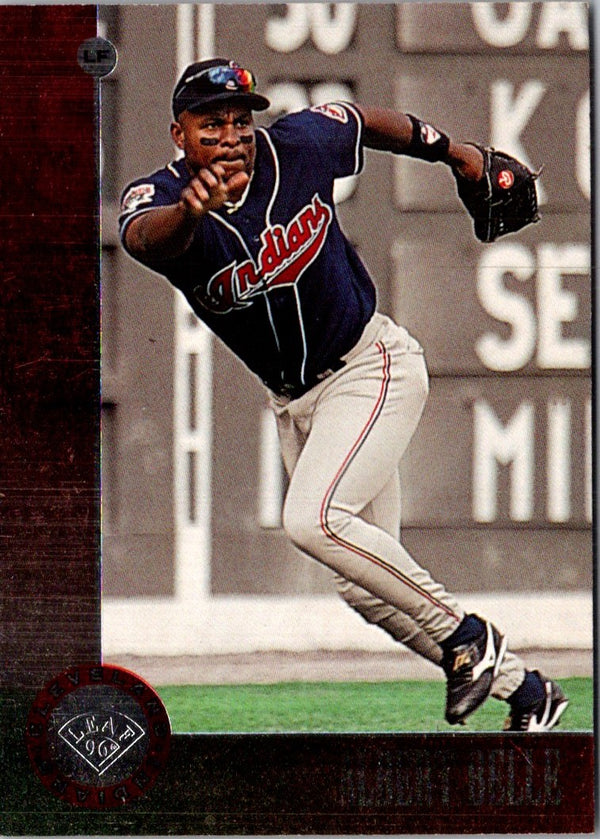 1996 Leaf Albert Belle #94