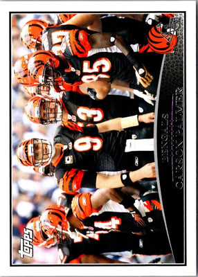2010 Panini Limited Tag Team Carson Palmer/Chad Ochocinco #6