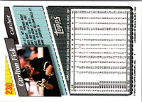1993 Topps Carlton Fisk #230