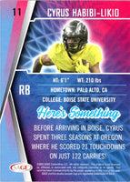 2022 SAGE Cyrus Habibi-Likio #11