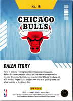 2022 Hoops Arriving Now Dalen Terry #18