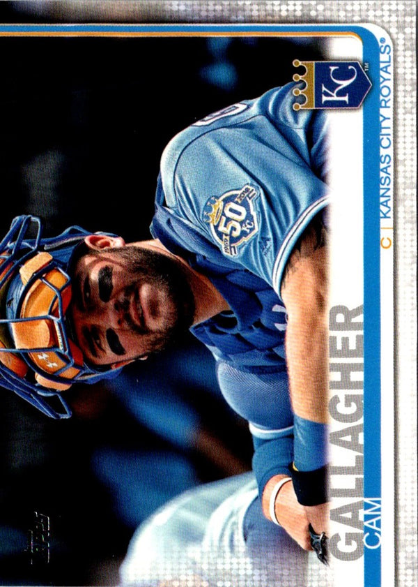 2019 Topps Cam Gallagher #666