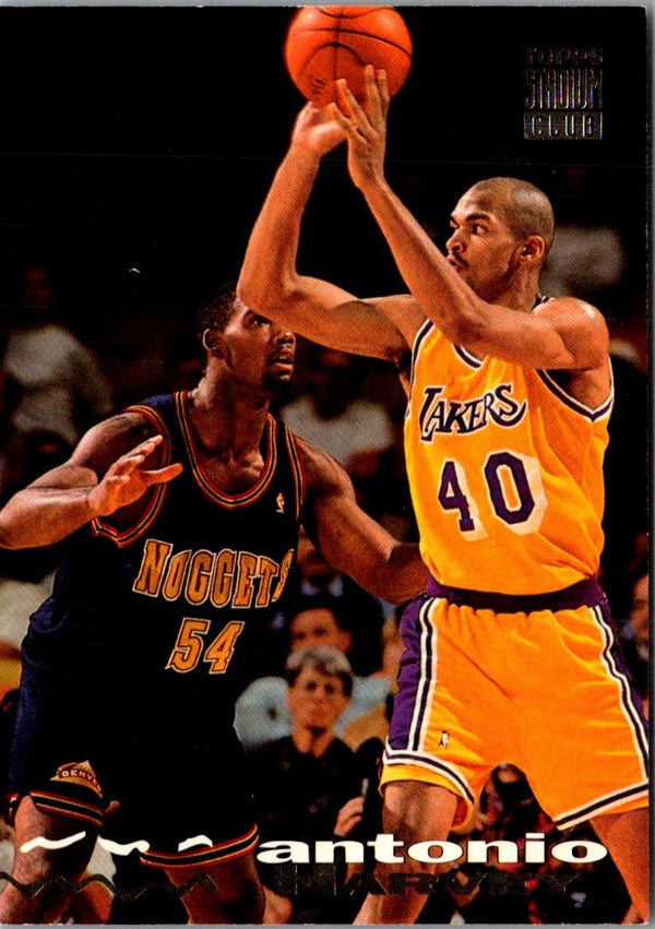 1993 Stadium Club Antonio Harvey #327