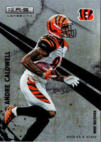 2010 Panini Andre Caldwell #27