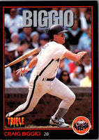 1993 Triple Play Craig Biggio #100