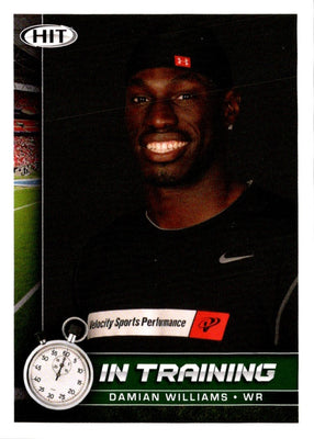 2010 SAGE HIT Damian Williams #74