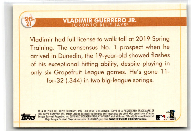 2019 Topps Vladimir Guerrero