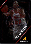 2013 Pinnacle Taj Gibson