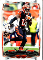 2014 Topps Camo Mohamed Sanu #15