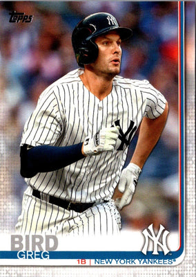 2019 Topps New York Yankees Greg Bird #NY-15