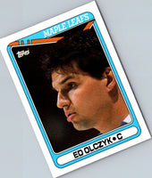 1978 Topps Toronto Maple Leafs Team #206