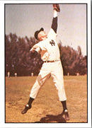 1979 TCMA 50's Art Schult