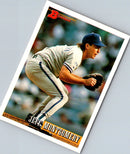 1992 Maxwell House Toronto Blue Jays 1979 Toronto Blue Jays Team Photo