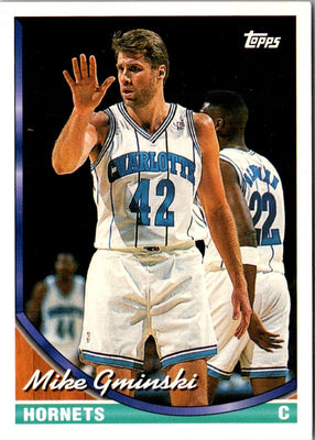 1993 Topps Mike Gminski #339