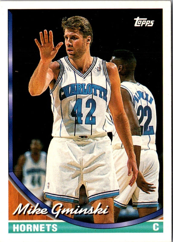 1993 Topps Mike Gminski #339