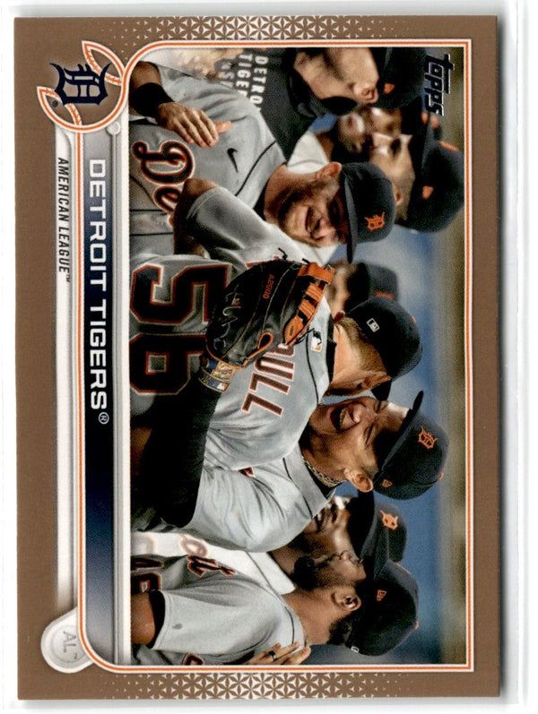 2022 Topps Gold Detroit Tigers #640 1264/2022