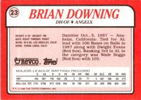 1988 Topps Revco League Leaders Brian Downing #23