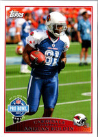 2009 Topps Anquan Boldin #293