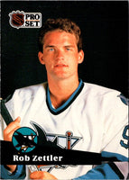 1991 Pro Set Rob Zettler #330