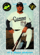 1990 Classic Draft Picks Shane Andrews