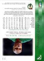 1999 Topps Gallery Antoine Walker #77