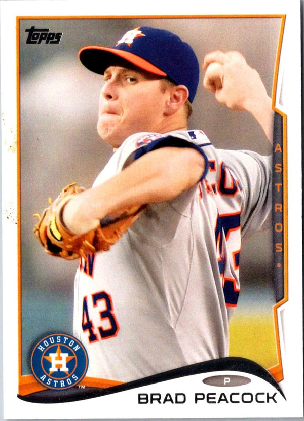 2014 Topps Brad Peacock #313