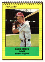 1991 ProCards David Hayden #3492