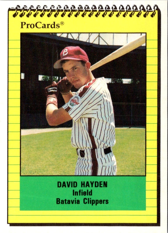 1991 ProCards David Hayden #3492